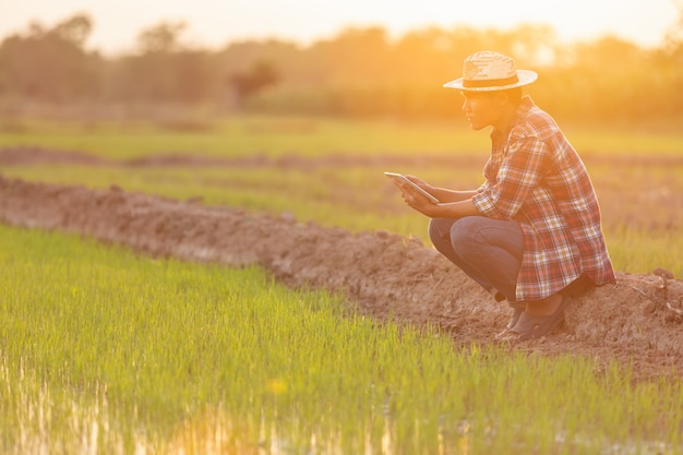 Asian young farmer using tablet at the green rice field