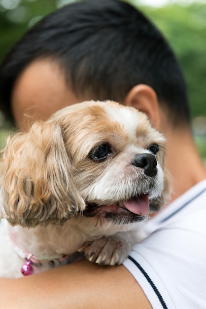 彼のシー ツィー犬を持つアジアの若い男