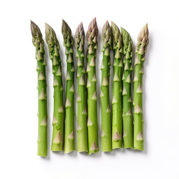 Asparagus isolated on white background generative AI