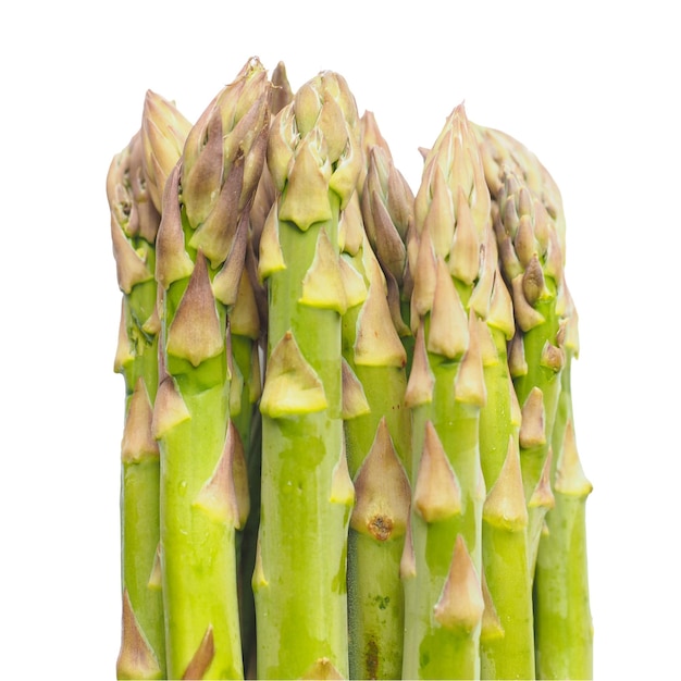 Verdura di asparagi isolata