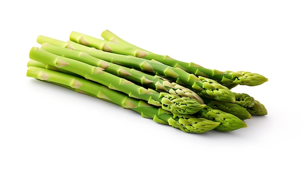 Asparagus on white background