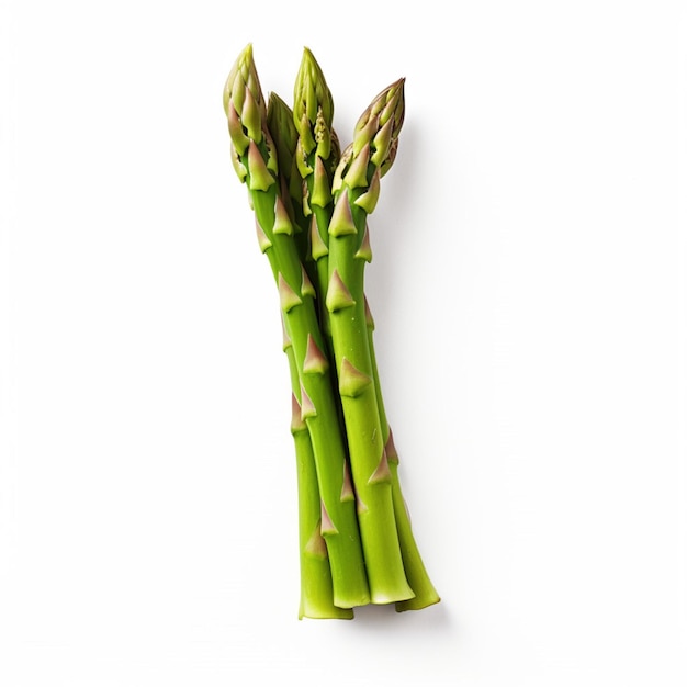 Asparagus with white background high quality ultra