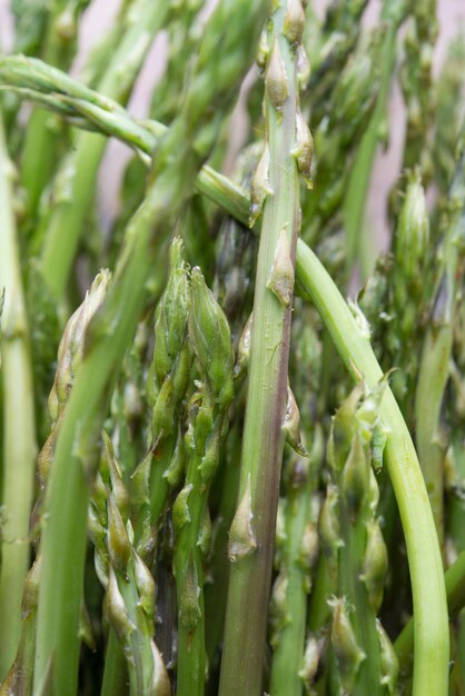 Asparagus