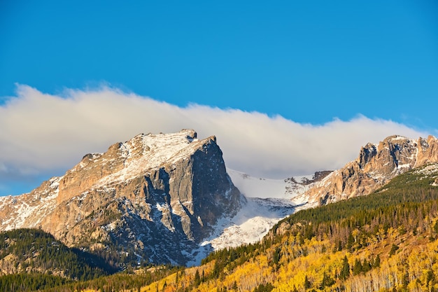 Aspen grove in de herfst in de Rocky Mountains