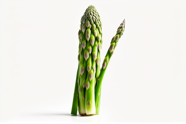 Asperges is een plant die in het voorjaar wordt gekweekt.