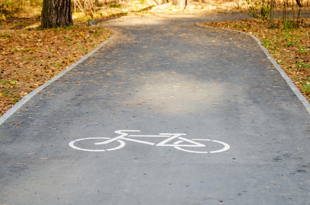 Asphalt bike path in autumn park comfortable urban environment
symbol of cycle paths on pavement