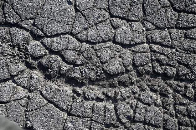 asphalt in cracks texture / abstract background cracks on asphalt road