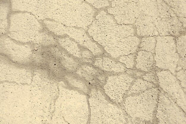 Photo asphalt in cracks texture / abstract background cracks on asphalt road