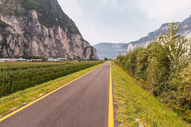 Asphalt cycle path in the Italian Alps with yellow lines