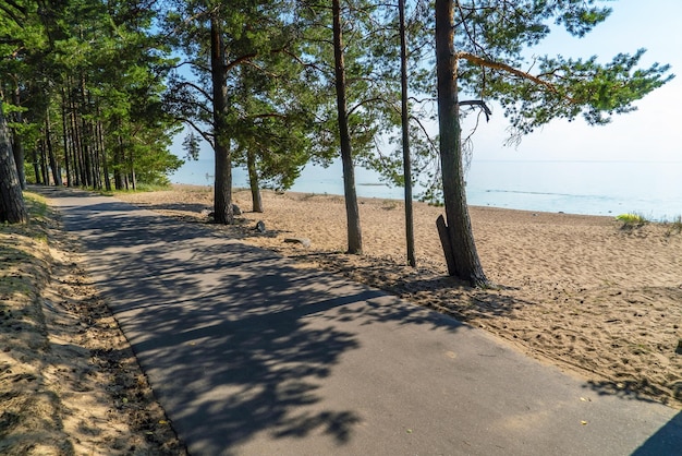 An asphalt path along the coast of the Gulf of Finland near the village of Komarovo SaintPetersburg