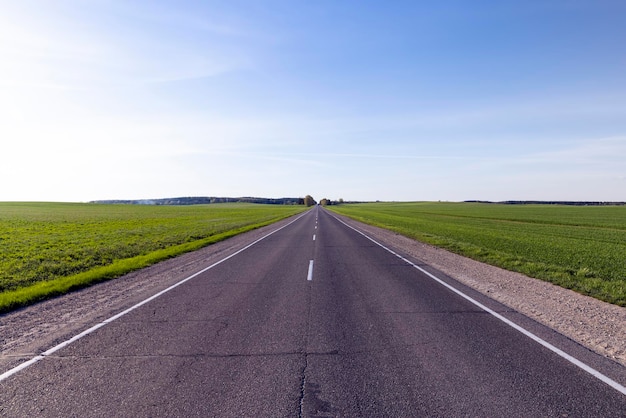 An asphalt road along which green plants