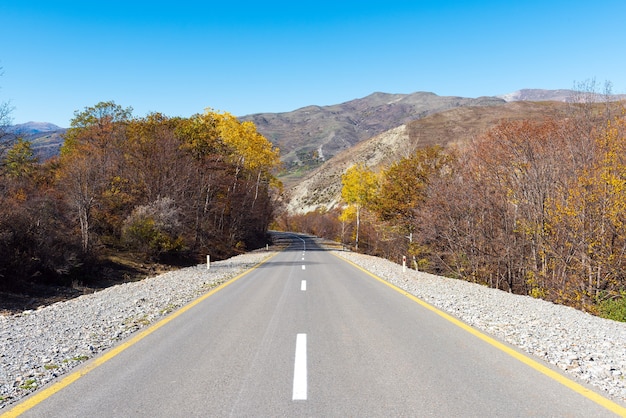 Asphalt road between autumn trees