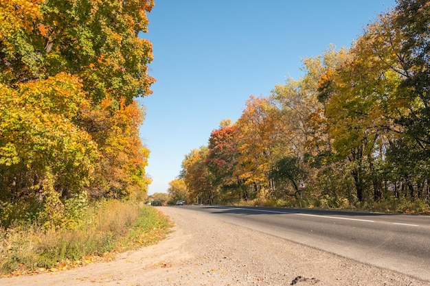 アスファルトの道路と明るい秋の木々おとぎ話の色鮮やかな秋の森道の周りの紅葉