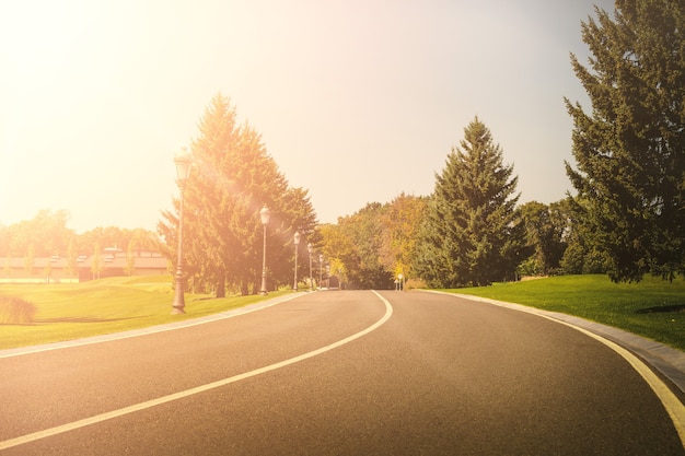 Asphalt road in a field