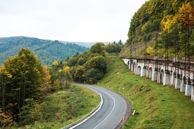 森の山のアスファルト道路