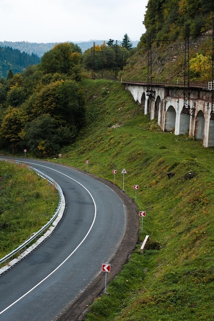 森の山のアスファルト道路