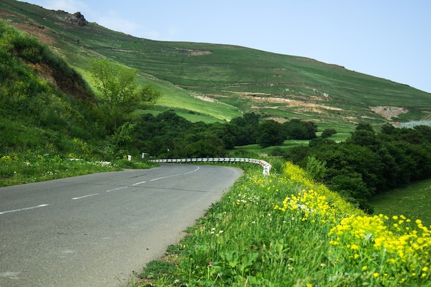 Asphalt road goes down the mountainside in the forest in the evening