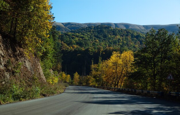 Asphalt road goes down the mountainside in the forest in the evening