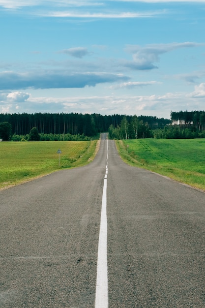 The asphalt road going to the green forest