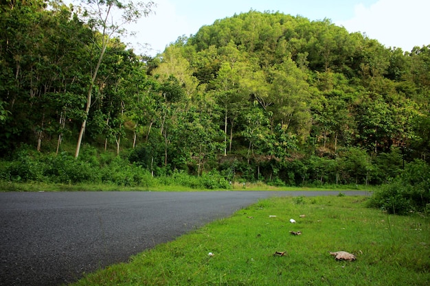 丘へのアスファルト道路