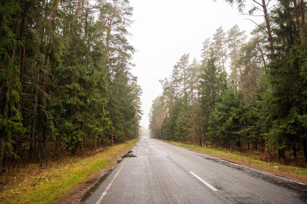 An asphalt road in the middle of the forest in autumn with a dividing strip