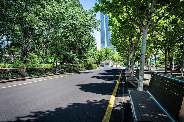 近代的な都市公園のアスファルト道路