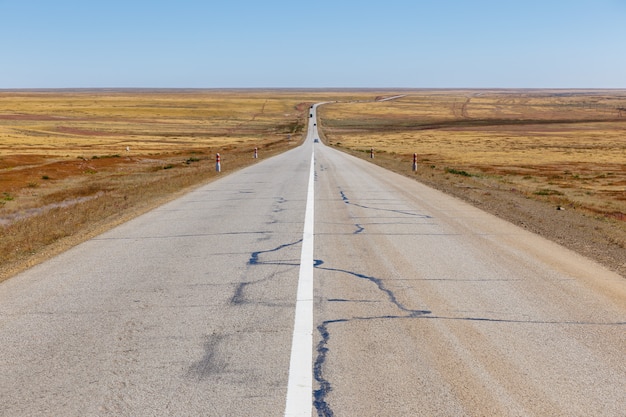 Asphalt road in the mongolian steppe