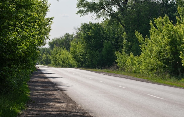 Asphalt road outside the city