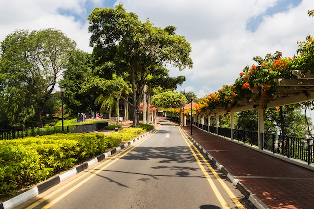 Asphalt road in the park