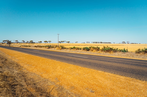 Asphalt road in perth