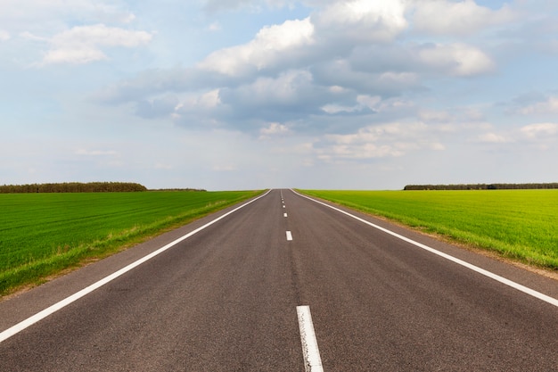 An asphalt road on the sides of which is a field with agricultural plants, and on the horizon a forest grows