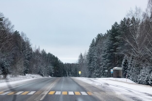 Asphalt road in a snowy forest close up