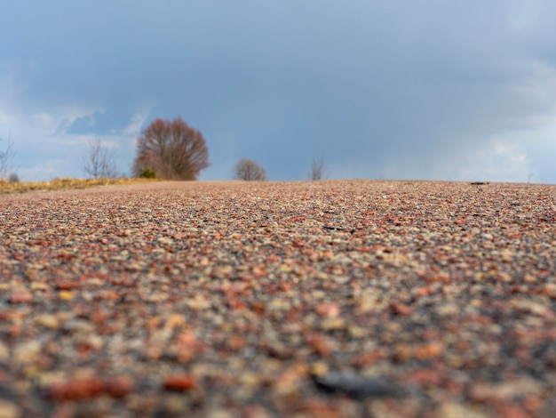 An asphalt road stretching away into the distance. Ground view, selective focus. Sky and tree ahead