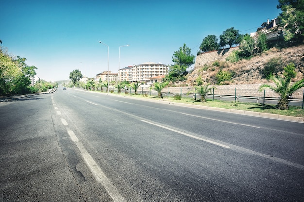 Strada asfaltata circondata da palme