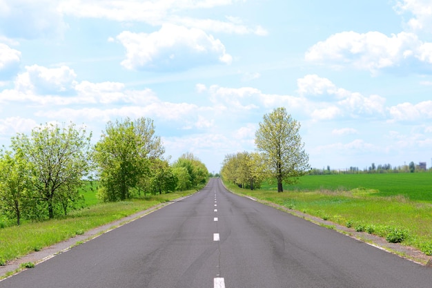 Asphalt road through the green field in spring day