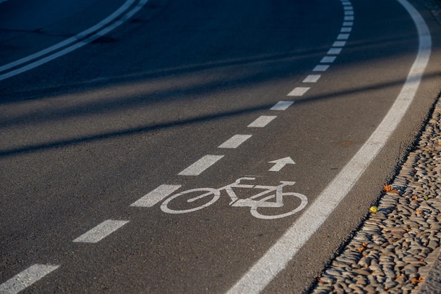 Asphalt road with bike lane stripes