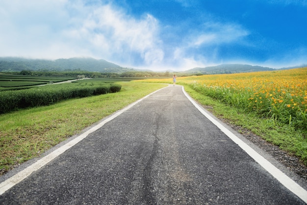 Strada asfaltata con cielo nuvoloso e luce solare