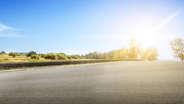 Asphalt road with grass and trees