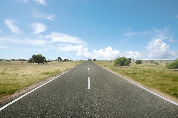 緑の草と青空の背景とアスファルト道路