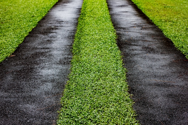 中央の緑の芝生とアスファルトの道路