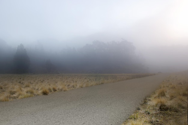 Asphalt road