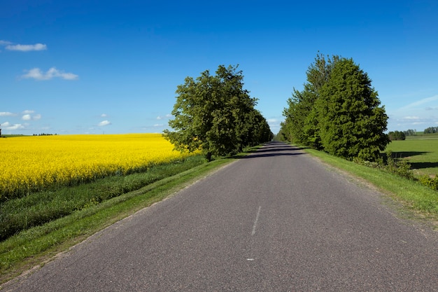 The asphalted highway in summertime of year.