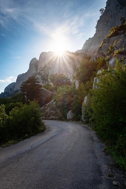 山の中のアスファルト道路美しい日差しの夏休み