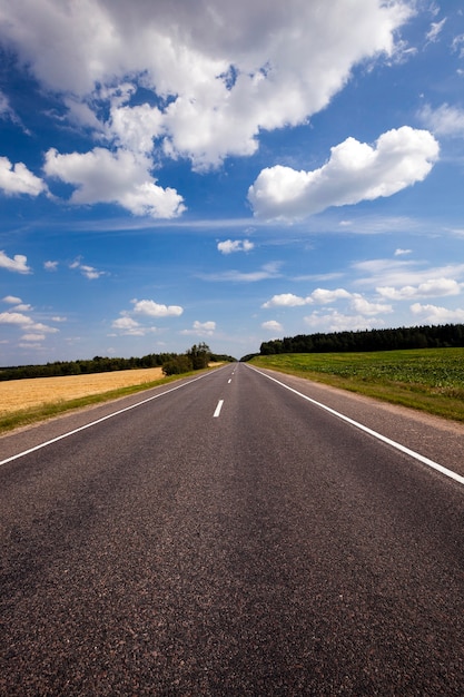 The asphalted road - the small rural asphalted road photographed in summertime of year. 