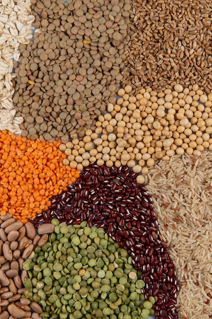 assembly with edible grains, forming a mosaic on top view