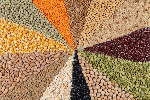 assembly with edible grains, forming a mosaic