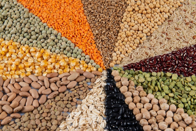 assembly with edible grains (seeds) forming a mosaic