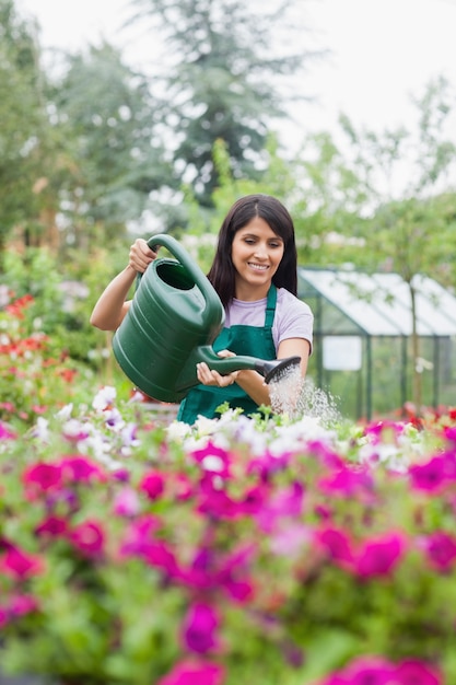 Assistant watering flowers