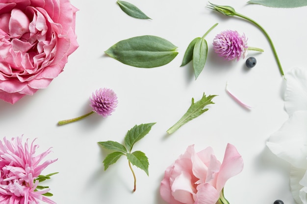 Assorted flowers heads.