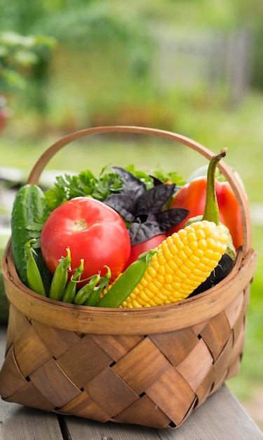 Assorted fresh vegetables in a basket on a nature background